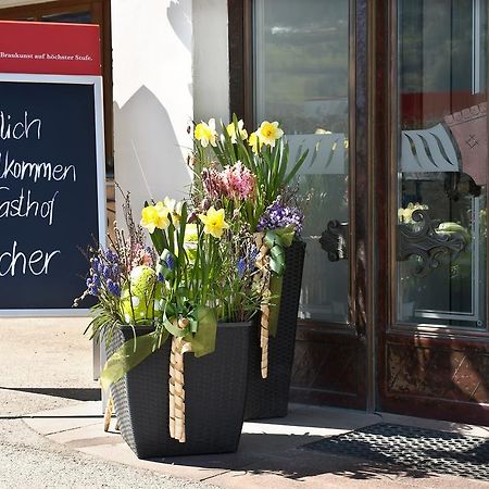 Gasthaus Bacher Otel Sankt Johann im Pongau Dış mekan fotoğraf